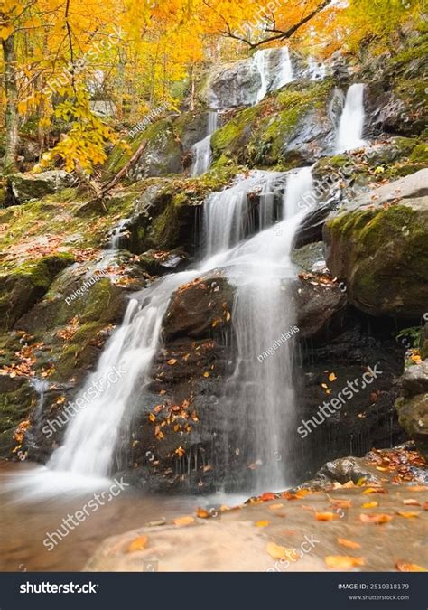 Dark Hollow Falls Shenandoah National Park Stock Photo 2510318179 ...