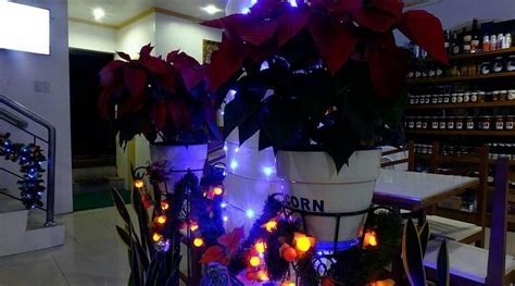 LUTONG BAHAY AND HOUSE OF NIPANOG, Mauban - Restaurant Reviews, Phone ...