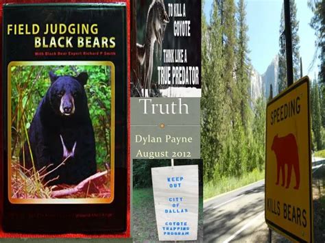 Truth PowerPoint Background 的图像结果