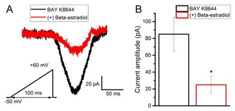 Beta-Estradiol Regulates Voltage-Gated Calcium Channels and Estrogen ...