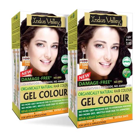 Buy INDUS VALLEY Organically Natural Damage Free Gel Colour for Hair ...