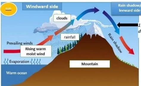 Orographic Rainfall Diagram. - Brainly.in