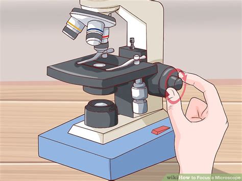 Image result for Course Focus Microscope Function