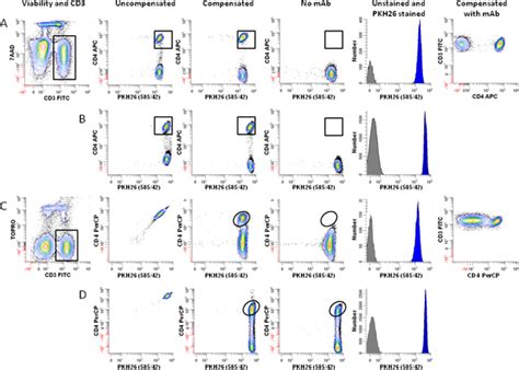 Image result for Cell Surface Protein Staining Tracking
