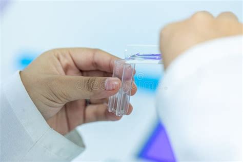 Spectrophotometer Experiment Examples 的图像结果