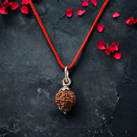 7 Mukhi Rudraksha Pendant Necklace – Pavitra