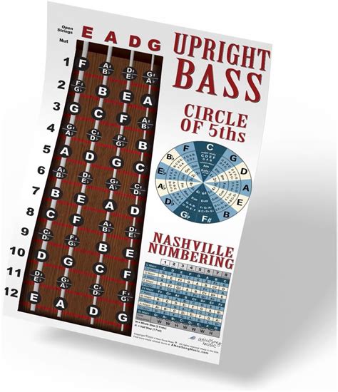 A New Song Music Upright Bass Fingerboard India | Ubuy