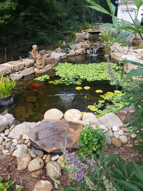 Butterfly Spanish Tutorial 的图像结果