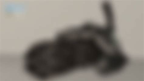 Image result for Cod Black Ops Death Machine