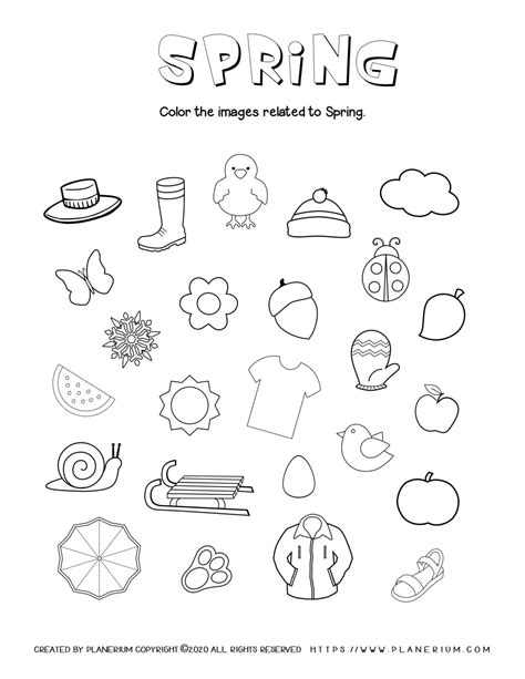 Image result for Sort Spring Worksheet