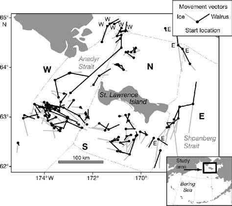 Figure 1 from Divergent movements of walrus and sea ice in the northern ...