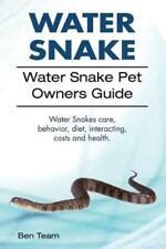 Water Snake Water Snake Pet Owners Guide Water India | Ubuy