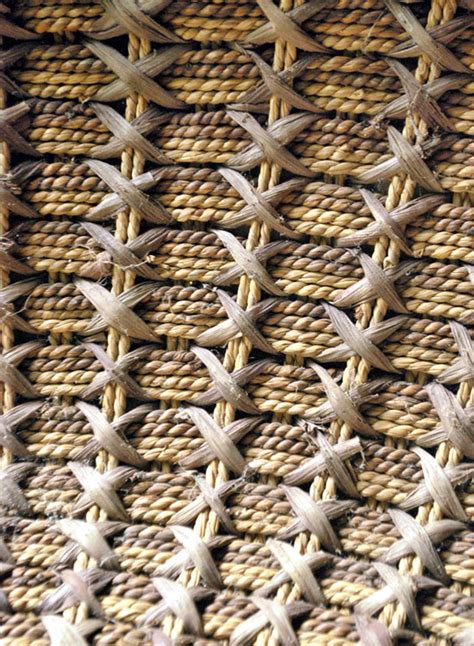 D'source Slide Show | Banana Stem | D'Source Digital Online Learning ...