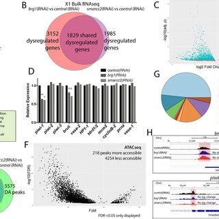 Image result for Extracts BAF