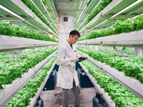 Image result for Controlled Environment Technology Examples