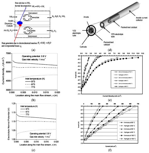 Numerical Modeling of Ammonia-Fueled Protonic-Ion Conducting ...