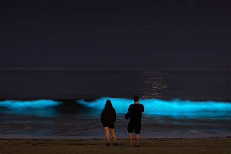 Beautiful Photos of Beaches That Naturally Glow | Reader's Digest