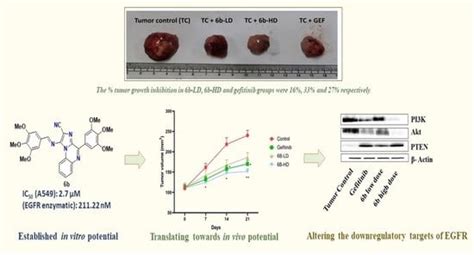 In Vivo Anticancer Evaluation of 6b, a Non-Covalent Imidazo[1,2-a ...