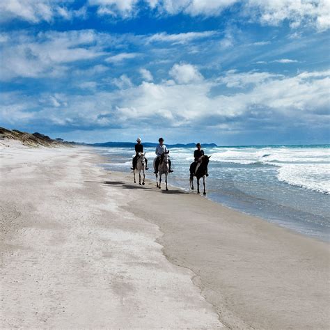 PAKIRI BEACH HORSE RIDES - DAY TOURS - All You Need to Know BEFORE You ...