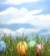 Image result for 1st Easter Bunny No Background