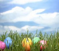 Image result for Funny Easter Desktop Backgrounds