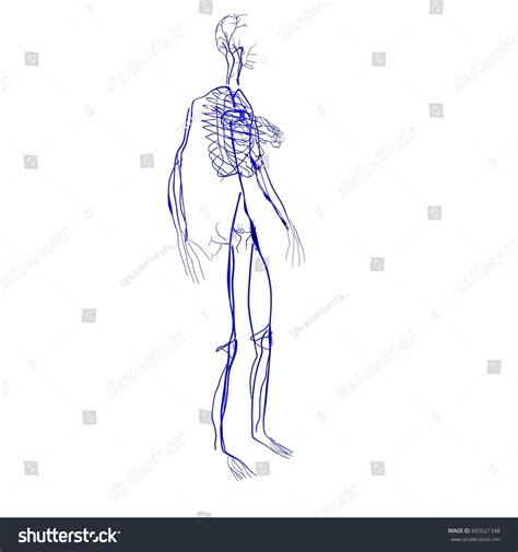 Image result for Create Minecraft Human Nerve System