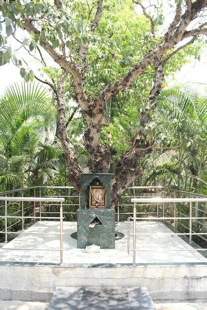 Image result for Media Storage Library