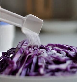 这六种做法做紫甘蓝好吃又健康-中新网重庆