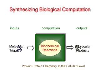 Biochemical Example 的图像结果