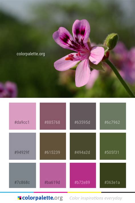 FlowerColor 的图像结果