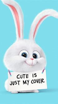 Image result for Cute Bunny Wallpaper for Phone