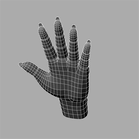 Image result for Female Hand 3D Modeling
