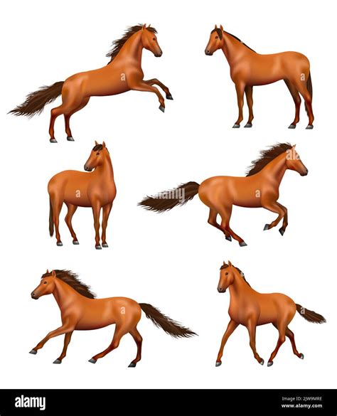 How To Adjust A Horse at John Mellon blog