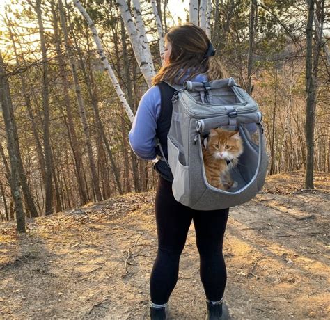 The 7 Best Cat Backpacks for 2024 - Review and Guide