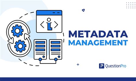 Image result for Metadata Management System