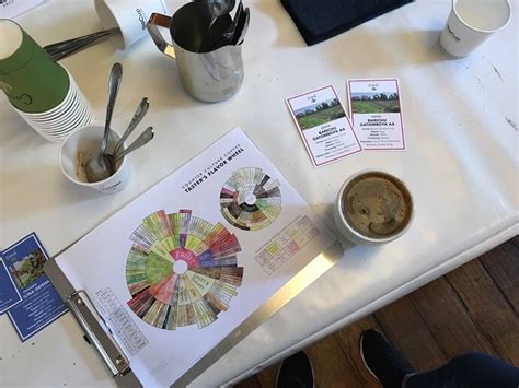 Coffee Cupping Machine 的图像结果