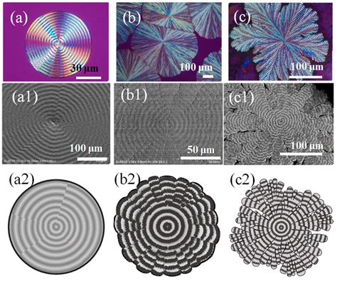 Microbeam X-ray and Scanning Electron Microscopic Analyses on Sector ...