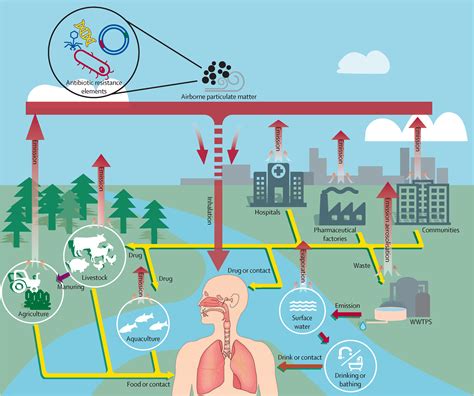 Association between particulate matter (PM)2·5 air pollution and clinical antibiotic resistance ...