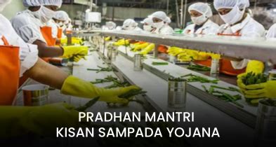 Government Subsidy Scheme Consultants |Amplus Subsidy Solutions