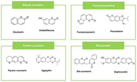 Preventing Microbial Infections with Natural Phenolic Compounds