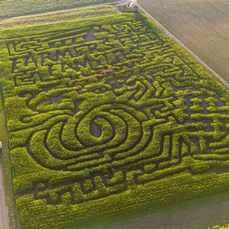Corn Maze 的图像结果