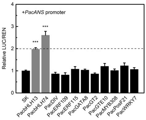 Transcriptome Co-Expression Network Analysis Identifies Key Genes and ...