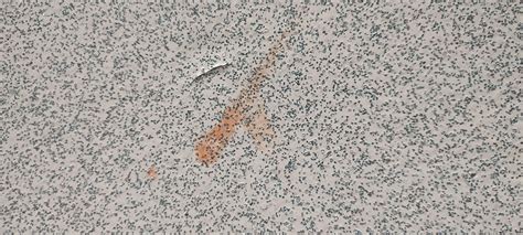 Removing cooking stains from linoleum floor - tips : r/CleaningTips