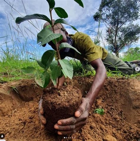 Help Environment in Local Communities 的图像结果