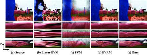 Image result for EVM Eulerian Video Magnification Python
