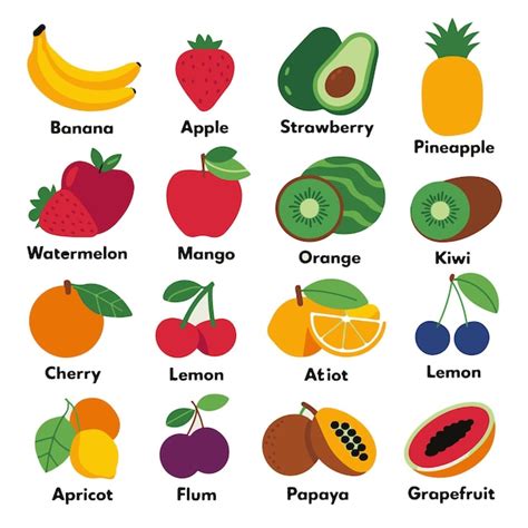 Image result for Fruit Example