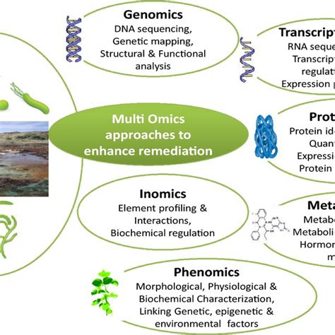 Omics Introduction 的图像结果