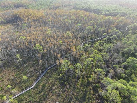 City of Panama City Beach, FL | Home