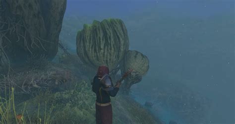 Where To Find Mint Mushroom Meat In Enshrouded