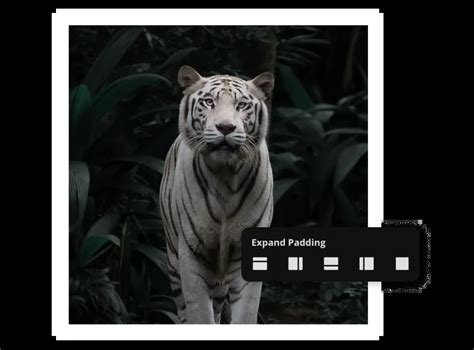 Image result for Border Design GIF